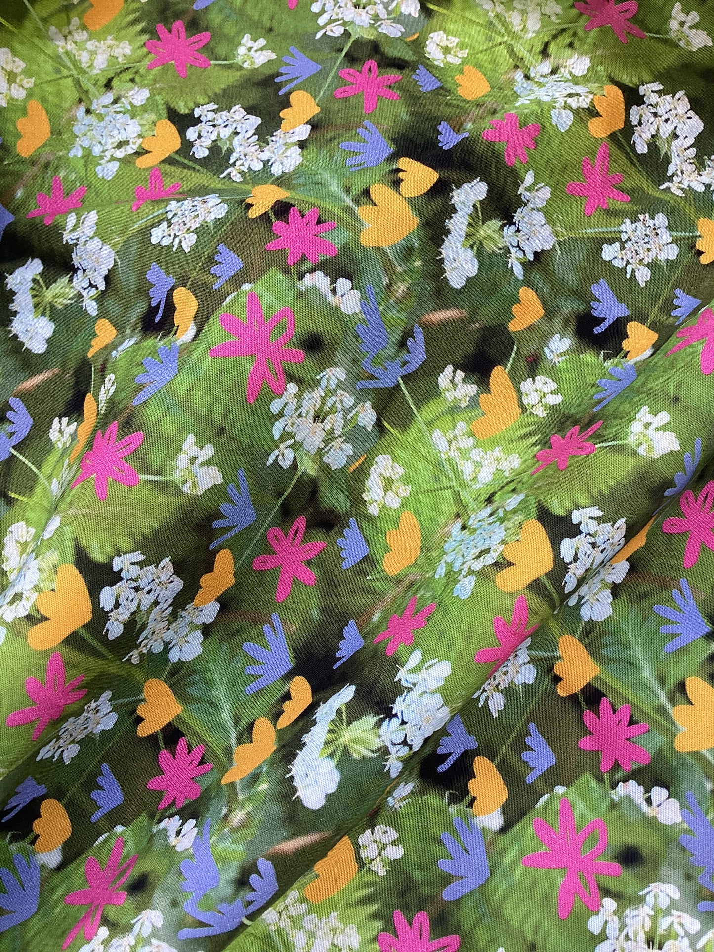 Meadow Flowers