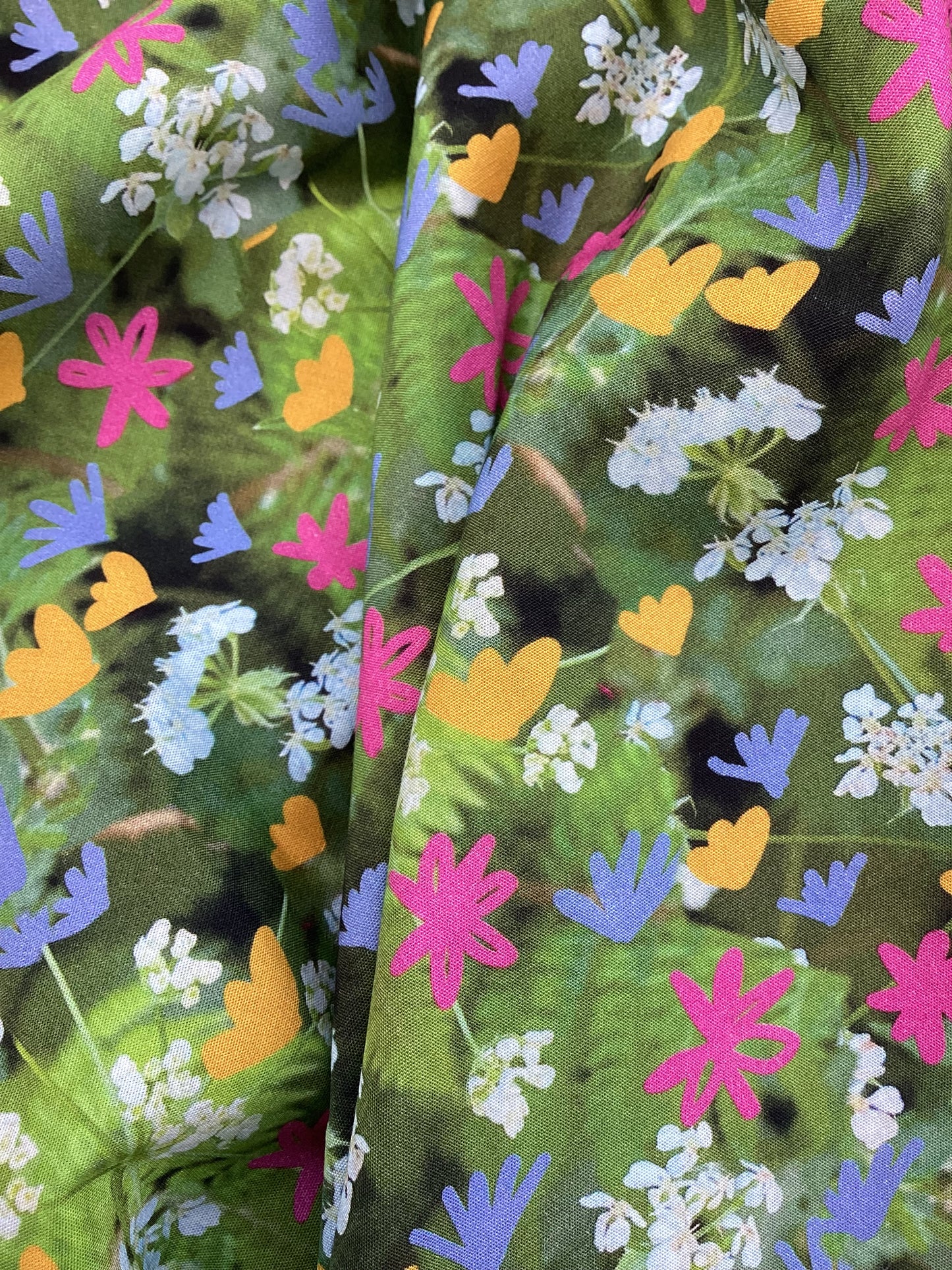 Meadow Flowers