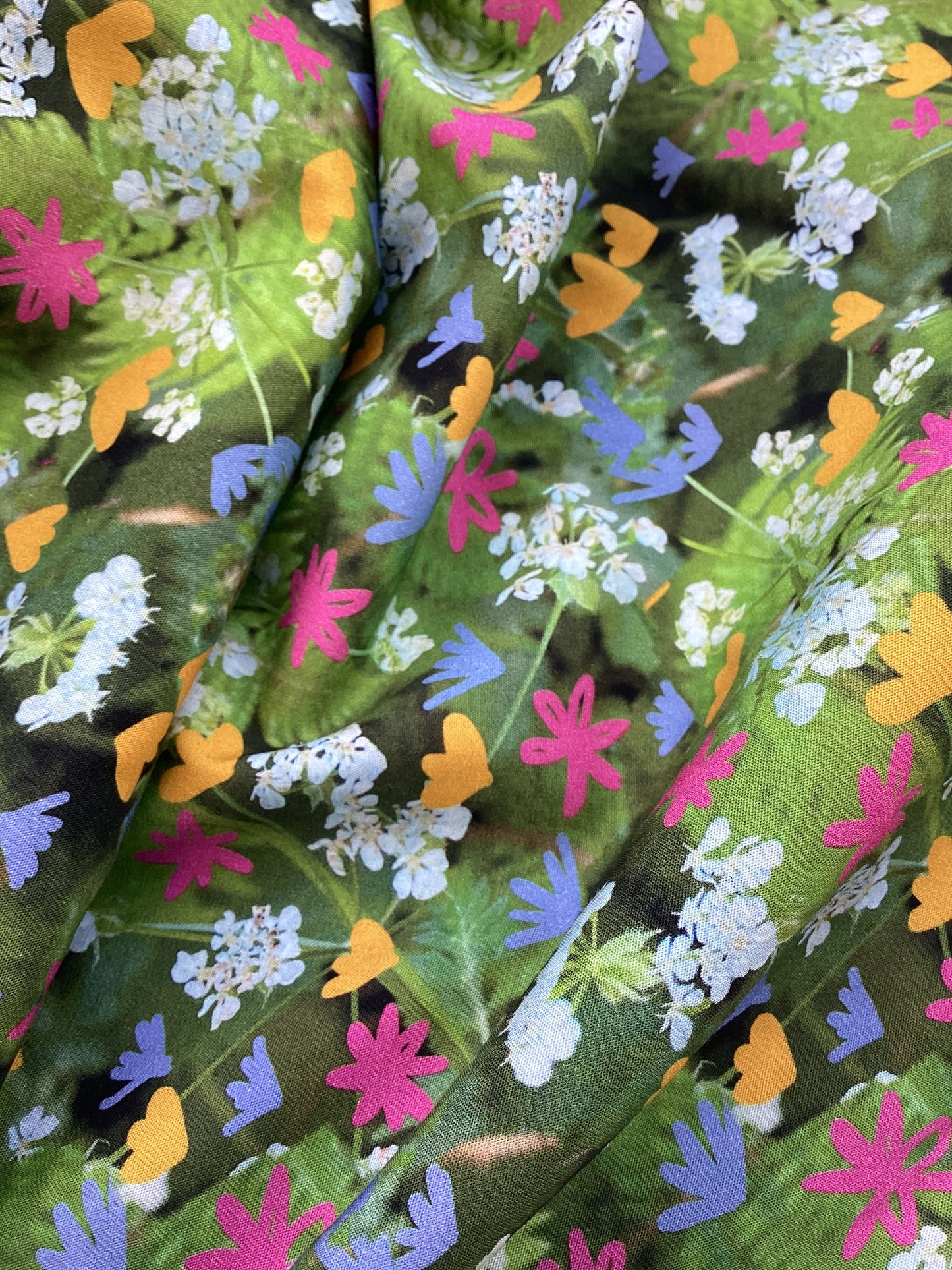 Meadow Flowers