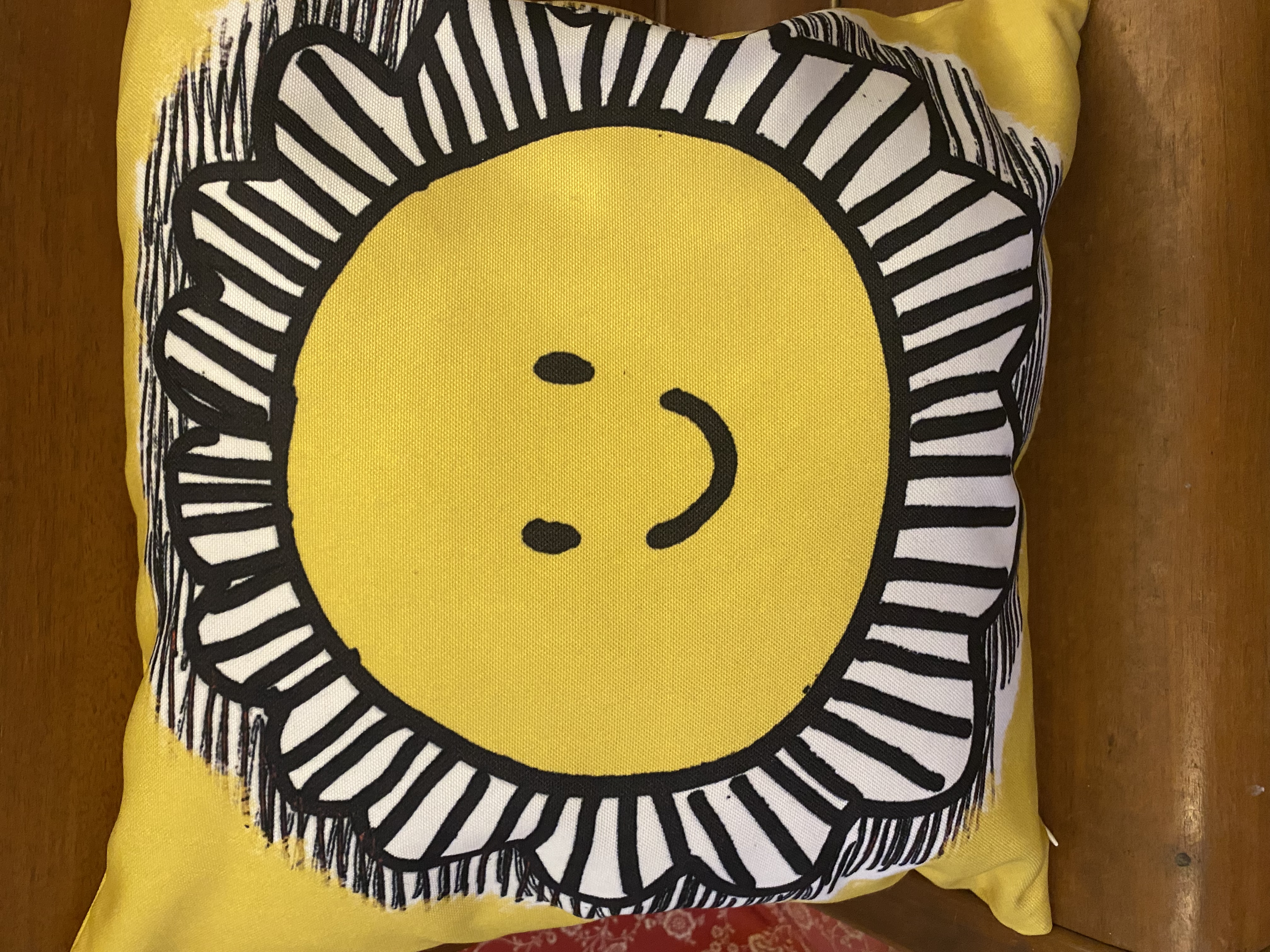 Sunny sunshine cushion