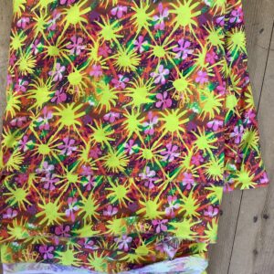 Celestial Connections  ( 3- 4 weeks production )